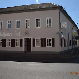 3* Hotel Nassauer Hof